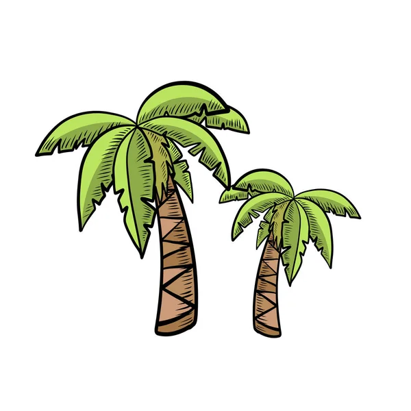 Palm Trees Green Leaves Tropical Plant — Vector de stock