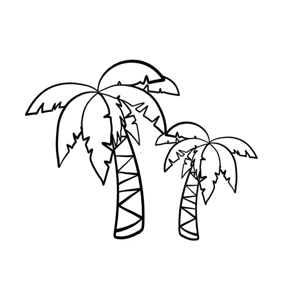 Palm Trees Leaves Tropical Plant — Stockvector