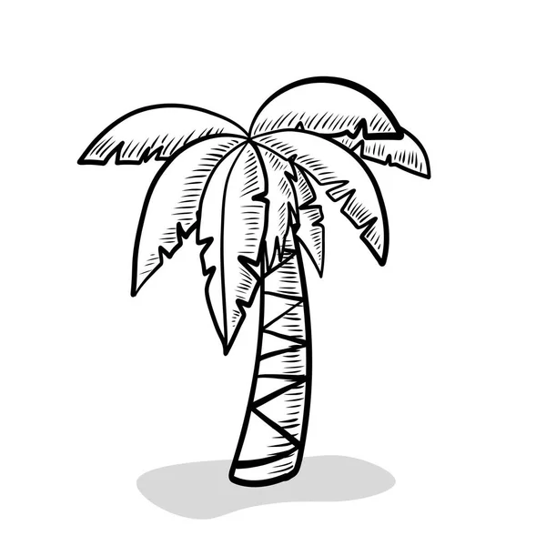 Palm Trees Leaves Tropical Plant — Stockvector