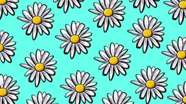 Daisy flowers background, chamomile daisies