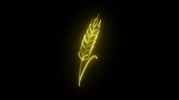 Golden Glowing Wheat Icon Black Background — 비디오