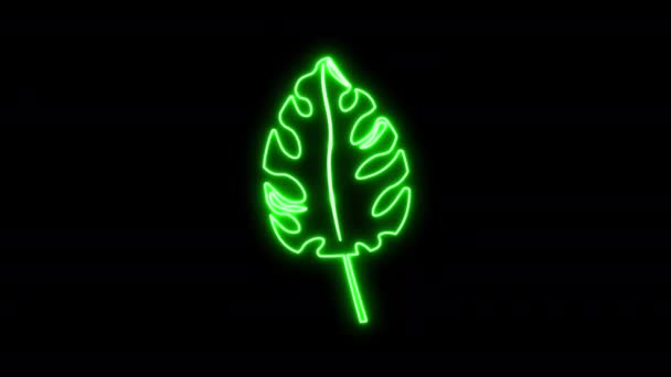 Glowing Neon Palm Leave Icon Black Background — стоковое видео
