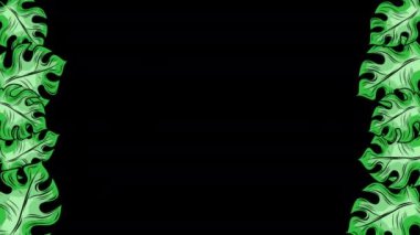 Dönen Palmiye Çerçevesi, yeşil ağaç yaprakları, tropikal bitki 