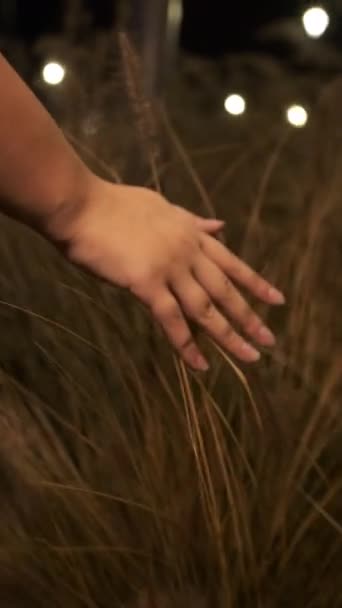 Woman hand touching, sliding grass in night time in the city. Close up. — Stock Video