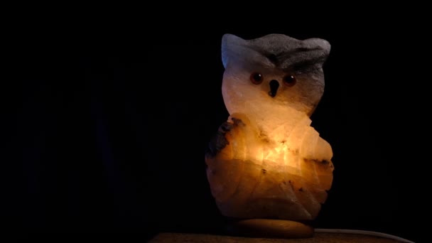 Noční lampa lucerna sůl sova s teplým žlutým světlem uvnitř na černém pozadí snímek — Stock video