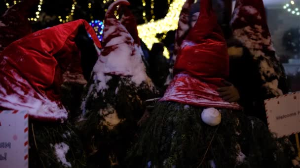 Kersttijd Nieuwjaar 2022 Vrouw knuffelend een kerstkabouter van boom en kerstman hoed kerstboom buiten winter — Stockvideo