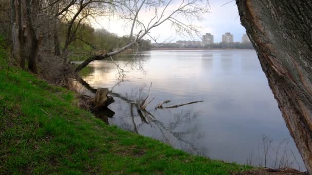 Cheha Lake Sumy City Downtown Sky Reflect Cityscape Bird View — Vídeo de Stock