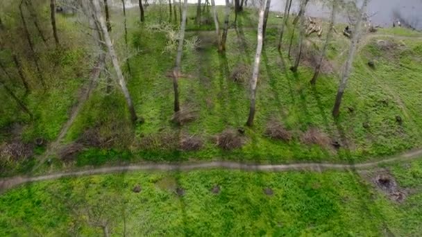 Tarlalar Arka Planda Yer Alan Ormanlar Göller Nehirler Üzerindeki Bir — Stok video