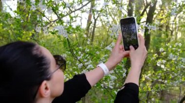 Bir kadın telefonda, çiçek açan bir ağacın fotoğrafını çekiyordu. Bahar meyve ağaçları ve harika çiçekler.