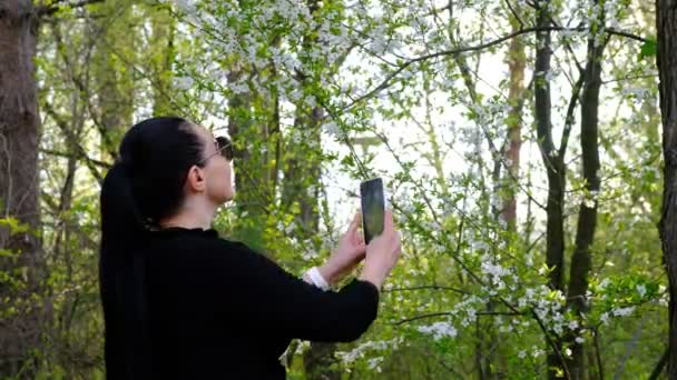 Jakaś Kobieta Robi Zdjęcie Kwitnącego Drzewa Przez Telefon Wiosenne Drzewa — Wideo stockowe