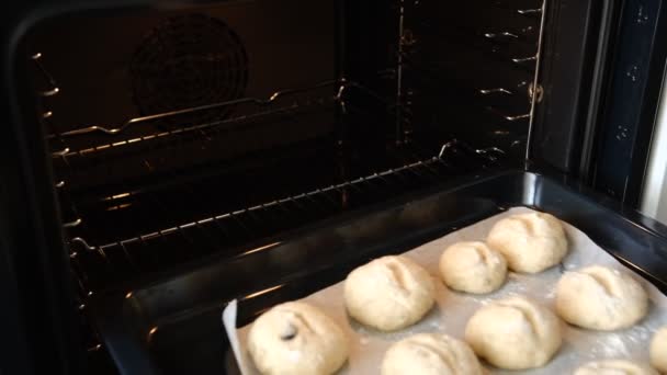 Pan Van Volkorenbroodjes Die Vóór Het Bakken Een Warme Oven — Stockvideo