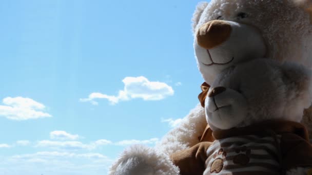 Ведмежі ляльки. Вид з багатоповерхового скляного вікна. Білий ведмідь сидить і дивиться на квартиру, вузький простір і блакитне небо. Білі хмари — стокове відео