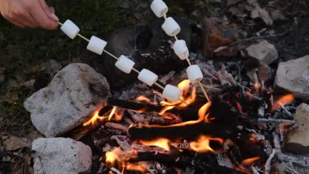 Conceito de acampamento e piquenique. Close up de pessoas fritando marshmallow em chamas na floresta — Vídeo de Stock