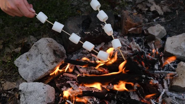 Camping Och Picknick Koncept Närbild Människor Steka Marshmallow Eld Skogen — Stockfoto