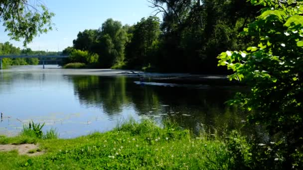 Volwassen Man Kajakken Alleen Een Kalme Rivier — Stockvideo