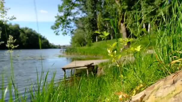 Blured Forest Λίμνη Ποτάμι Και Μια Προβλήτα Αυτό — Αρχείο Βίντεο
