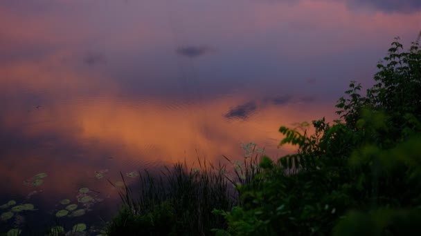 Cloudscape Verão Por Sol Lago Campo — Vídeo de Stock