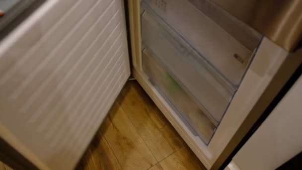 手作りのポプシクルを作る 冷凍庫にアイスクリームを入れて冷蔵庫に入れ — ストック動画