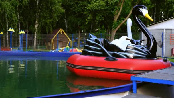 Blick Auf Schlauchboote Form Von Vögeln Schwan Pelikan Auf Dem — Stockvideo