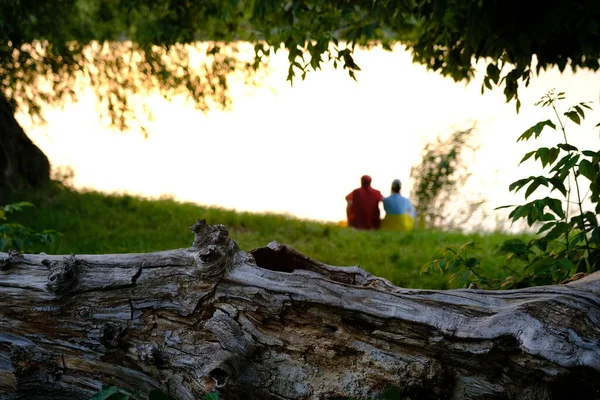 Heureux Couple Âgé Assis Été Près Lac Pendant Coucher Soleil — Photo