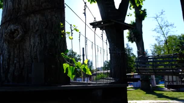 Веревочный Парк Посреди Леса Проходя Спортивные Препятствия Над Землей Активный — стоковое видео