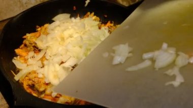 Ev yapımı Kore baharatlı chiken tabağı, ayçiçeği yağlı tavada havuçla kızartılmış chiken. Soğan ekle.