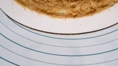Classic Russian cake Napoleon. selective focus, moving camera left