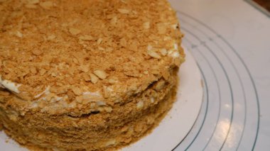 Classic Russian cake Napoleon. selective focus, moving camera left