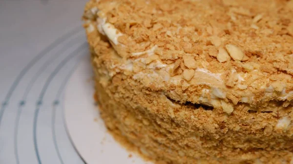 Classic Russian cake Napoleon. selective focus, moving camera right.