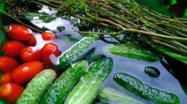 Fresh vegetables in the sink under water, tomatoes and cucumbers, dill large. Cleaning vegetables from pollution and toxic chemicals