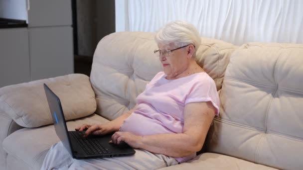 老年老年妇女观看商业培训 膝上型计算机在线网络研讨会 远程工作或离家社交远程学习 60世纪60年代商界女性视频会议呼吁在虚拟聊天 — 图库视频影像