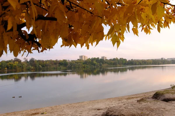 Autumn Fall Park Yellow Leaves Trees Lake — Stock Photo, Image