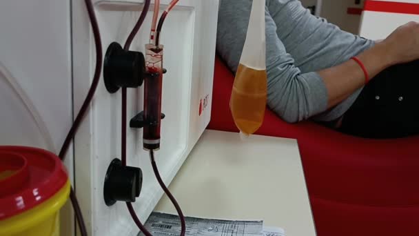 全身から血漿と血小板を抽出するための造血装置 献血血液や血漿 チェック指定された 献血の概念 プラズマ寄付の概念 命の概念を救う — ストック動画