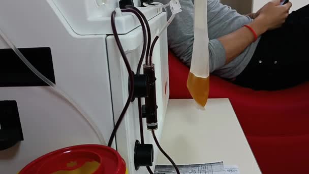 Máquina Aféresis Para Extraer Plasma Plaquetas Sangre Entera Donación Sangre — Vídeos de Stock