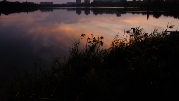 Otoño Caída Parque Con Hojas Amarillas Árboles Lago — Vídeos de Stock