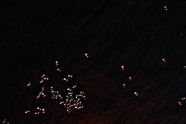 Koyu renk arka planda hava tabancası topakları ve aydınlatma için kırmızı ışık..