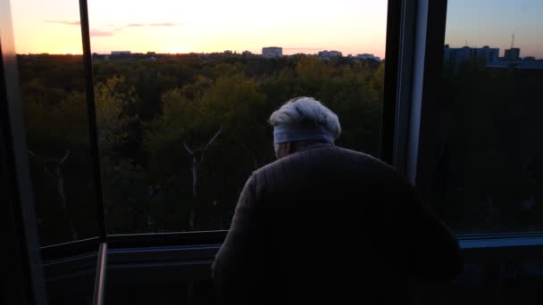 仕事に行く前に外の天気を見るために窓のカーテンを開くに夕日の光線を聞かせセーターのシニア 引退灰色の髪のヨーロッパの女性のバックビュー — ストック動画