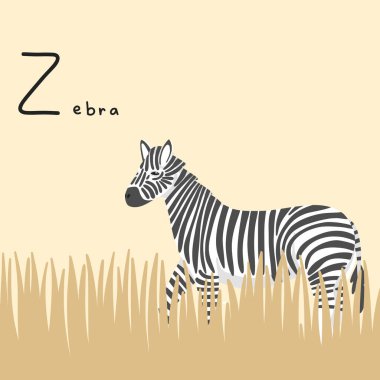 Çimlerde sevimli zebra. Alfabedeki Z harfi. Şirin bebek hayvan çizimi.