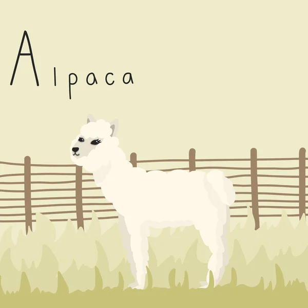 Llama Head Vector Art Stock Images ページ 6 Depositphotos