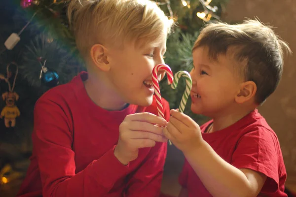 Yakışıklı bir çocuk süslü bir Noel ağacının önünde lolipop yiyor. Çocuk tatilin tadını çıkarıyor.