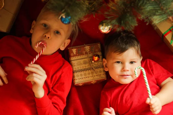 two beautiful boys in red T-shirts lie. Little brothers. Cute boys with lollipops look at camera. sweet red candy on a stick. top view