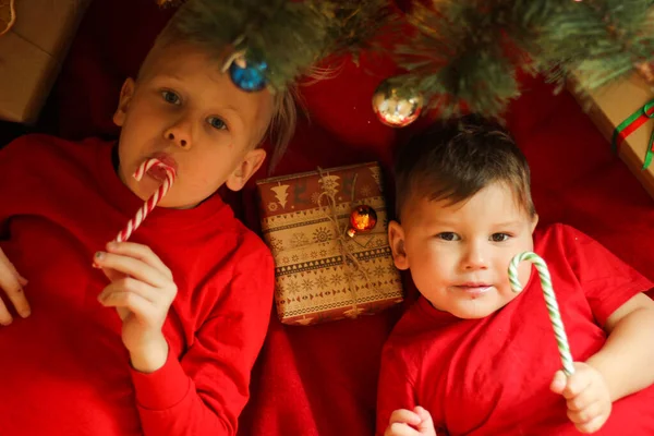 Two Beautiful Boys Red Shirts Lie Little Brothers Cute Boys — Stock fotografie