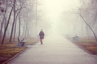 Sonbahar parkında eski asfalt yol sisli ağaçlarla kaplı..