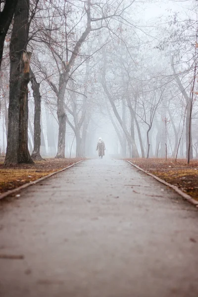 Sabah sisli. Parkta bir yürüyüş. Parkta sonbahar sisi. Siste ağaçlar. Sonbahar. Parktaki sokak. Banklar.