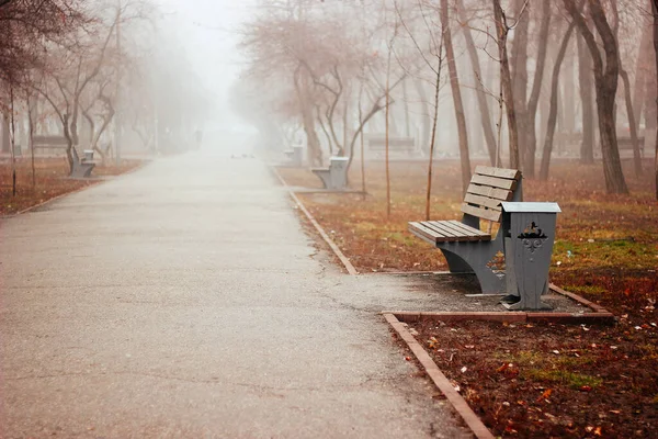 Sabah sisli. Parkta bir yürüyüş. Parkta sonbahar sisi. Siste ağaçlar. Sonbahar. Parktaki sokak. Banklar.