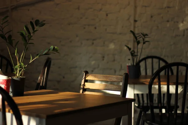 Konforlu oturma odası koltuğu, kahve masası, yer okuma lambası, kuru süs bitkileri. Oturma odası ya da ofis içi batan güneşin ışınlarında..