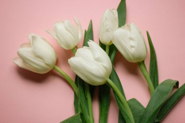 Bahar sabah kavramı. Düz-lay üzerinde açık pembe renkli çiçekler, sizin metin için yer ile Üstten Görünüm