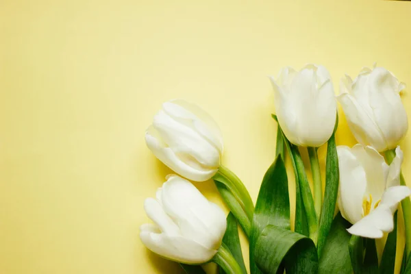 Bahar sabah kavramı. Düz-lay üzerinde açık pembe renkli çiçekler, sizin metin için yer ile Üstten Görünüm