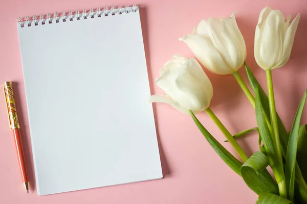 Blogger konsepti. Düz yerde, üst tarafta. Anneler Günü, kadın ya da doğum günü konsepti