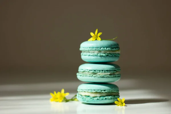 Beyaz izole lezzetli mavi macarons